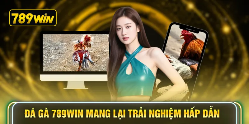 Đá gà 789WIN mang lại trải nghiệm hấp dẫn